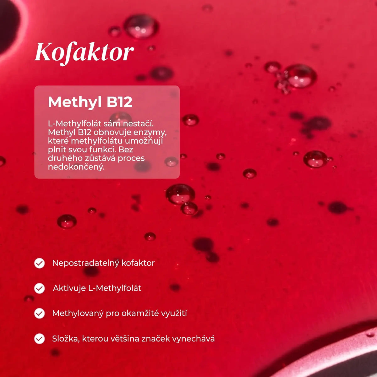 Solvia Čistý methylfolát